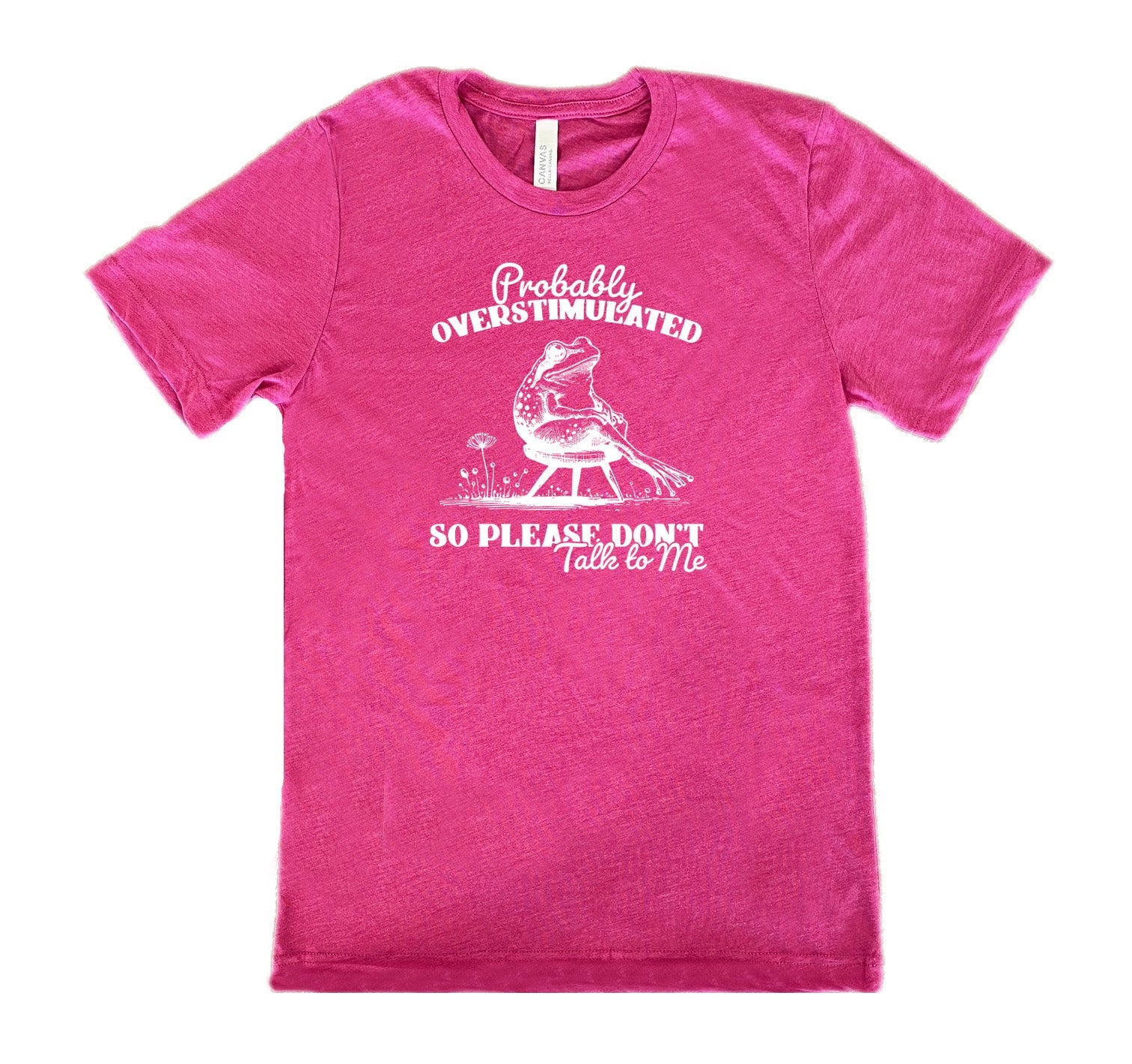Probably Overstimulated So Please Don't Talk to Me Shirt Unisex