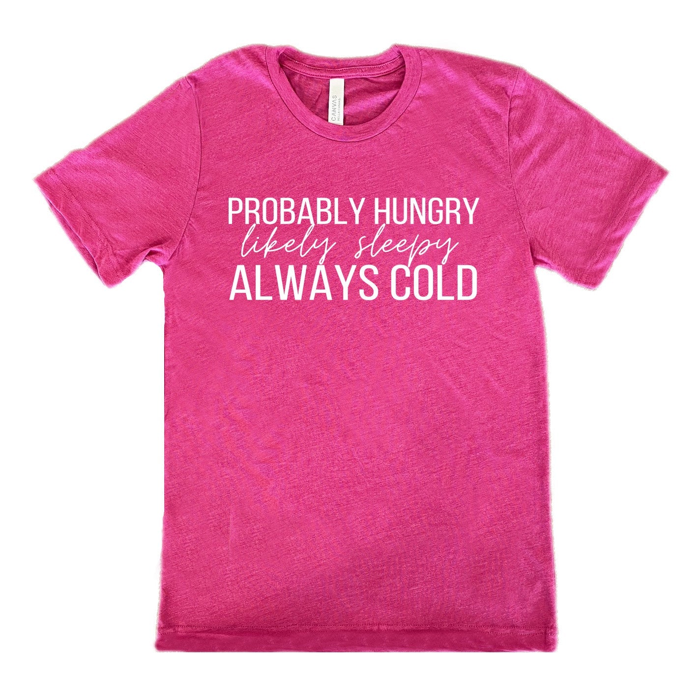 Probably Hungry Likely Sleepy Always Cold Shirt Unisex