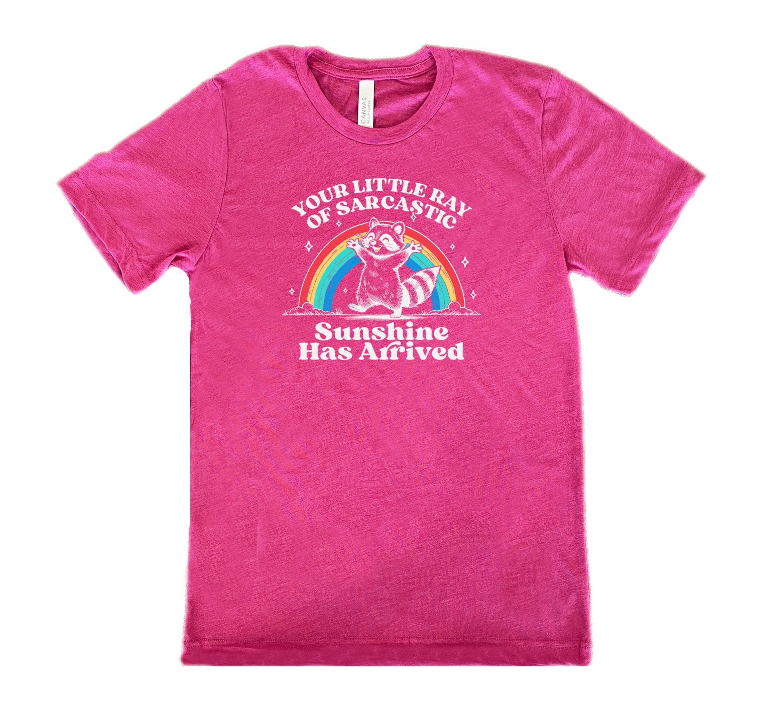 Your Little Ray of Sarcastic Sunshine Has Arrived Shirt Unisex
